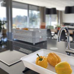 Bac de cuisine en matière...