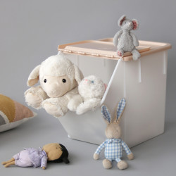 Grand casier de rangement...